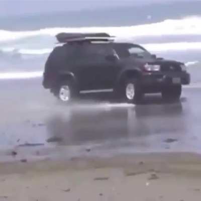 Just going for a cruise along the beach