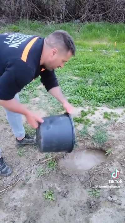 Master at work