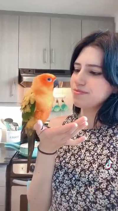 Can I have a kiss?