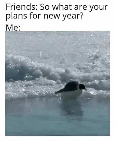 I'm gonna wake up after 1 year