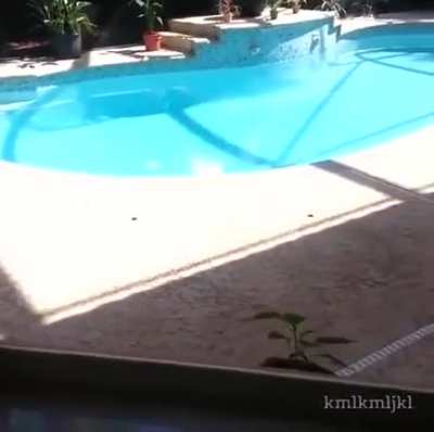 it's not time to swim