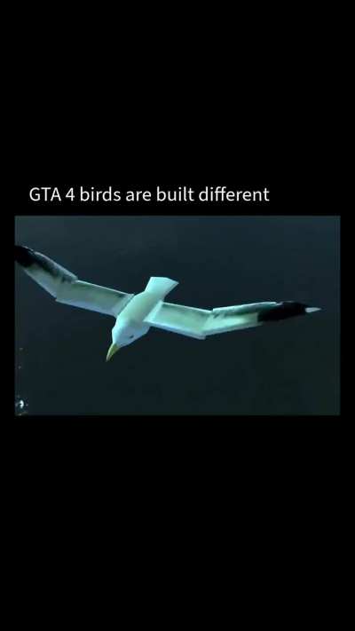 Gta 5 could never