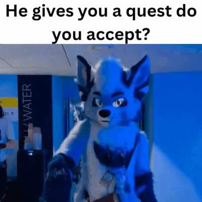 Do you accept?