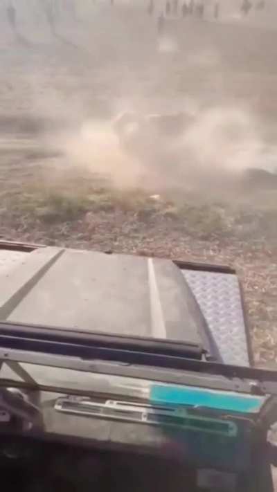 Angry bull does a front flip 
