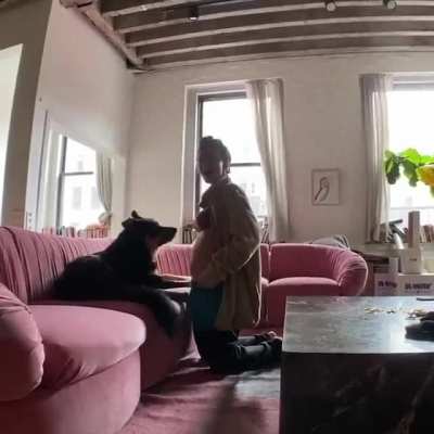 Pregnancy video