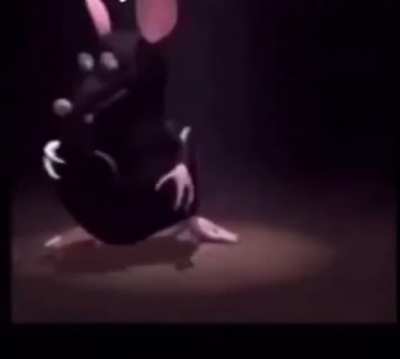 kai’s rat practicing for next streams surprise appearance: