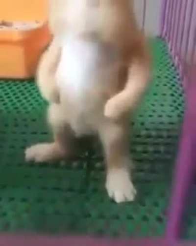 Ele..