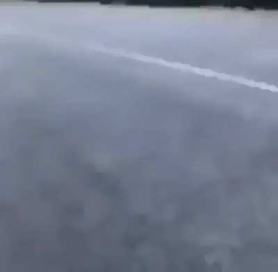 Haha alligator go brrr