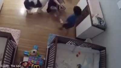 9-year-old makes a diving catch to save little brother