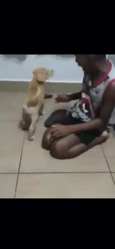 Wanted a puppy all his life, but his mum has never been able to afford one