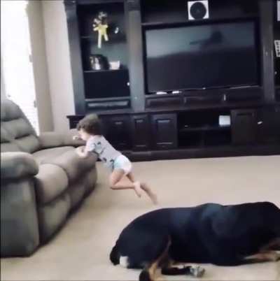 Child mercilessly gunned down in own home while dog sleeps