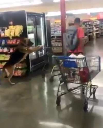Just shopping