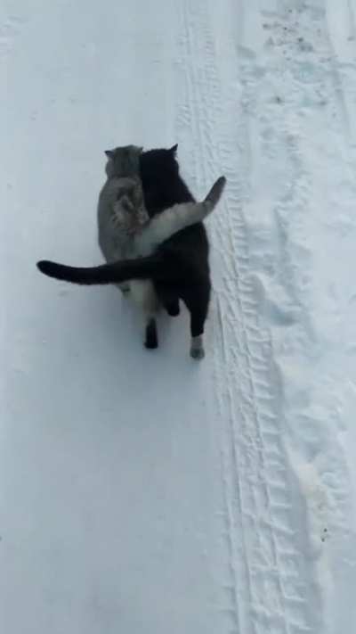 Snow bros
