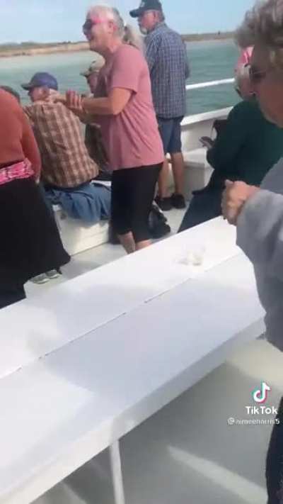 Did you see that?