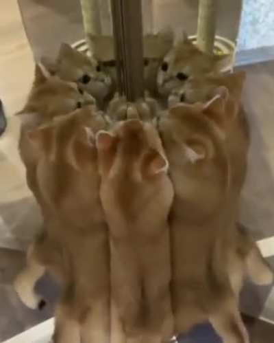 fluffy koleidoscope
