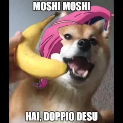 Moshi moshi