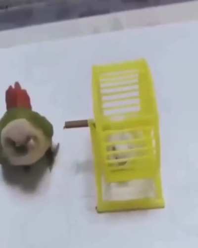 Fuck you mouse