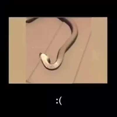 Hope you don’t mind sharing this here