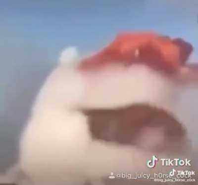 He do be singing.