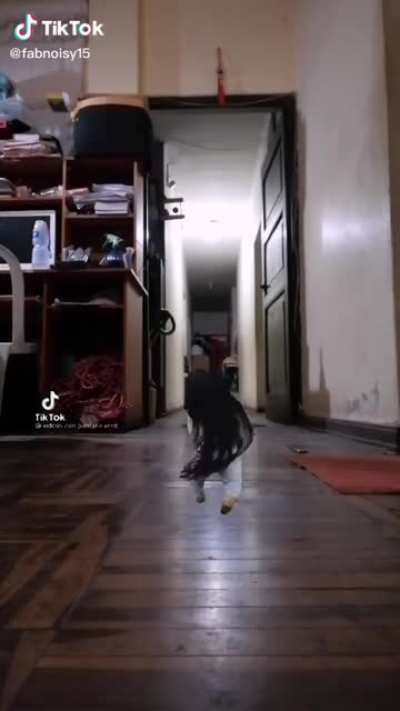 Just a normal dancing tikt....oh no.