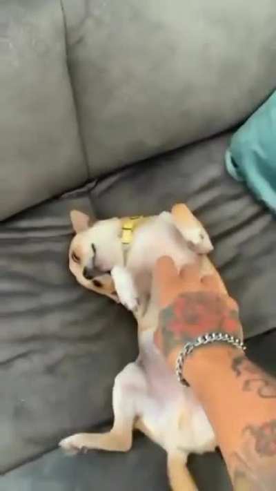 AH
