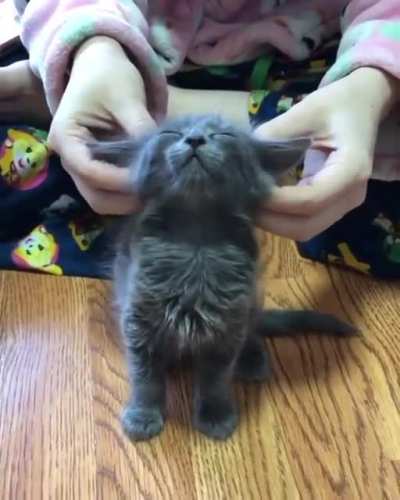 feel the force
