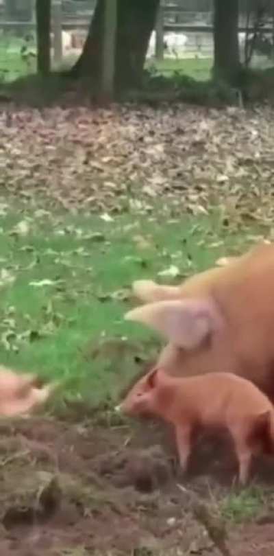 Kkkk