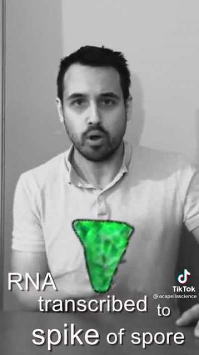 A cool version of a Sea Shanty I found on TikTok.