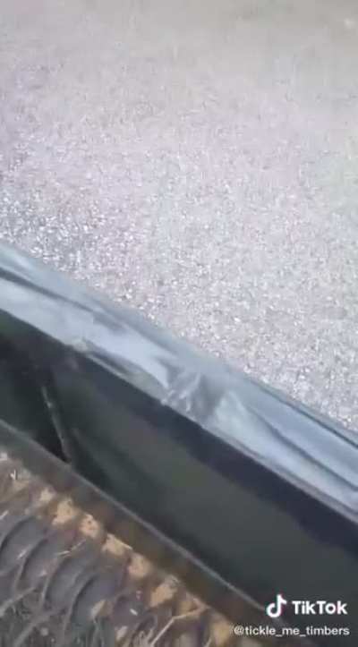 To scare a bunch of tourists