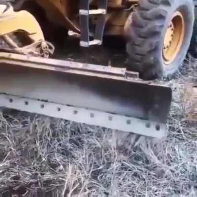 Когда твой пёс довер<wbr>яет тебе на все сто