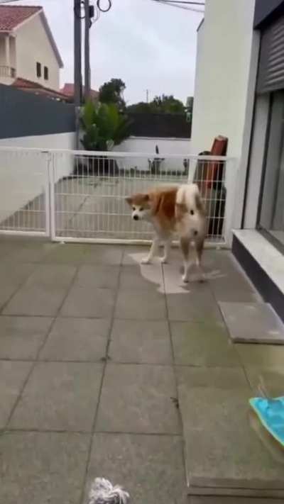 Maybe maybe maybe
