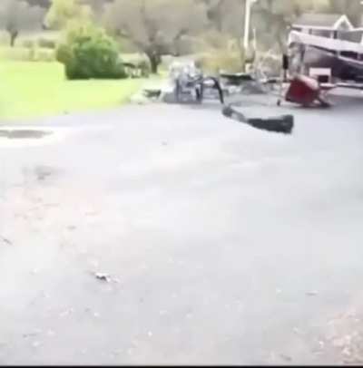 Pog