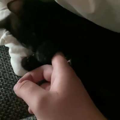 Was told to post this here. This is Sammy.