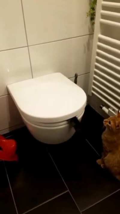 if i fits .........