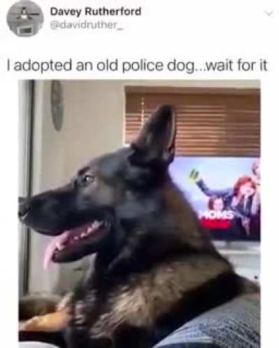 still remembers the training.