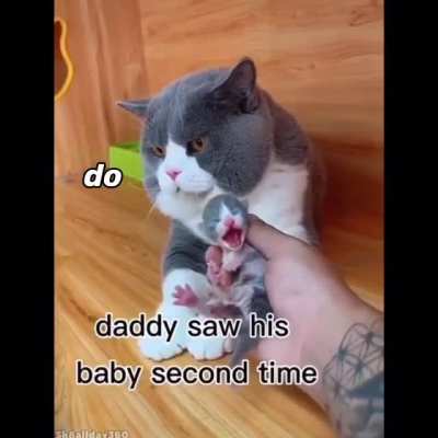 dad