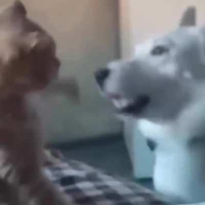 I eat you, kitty