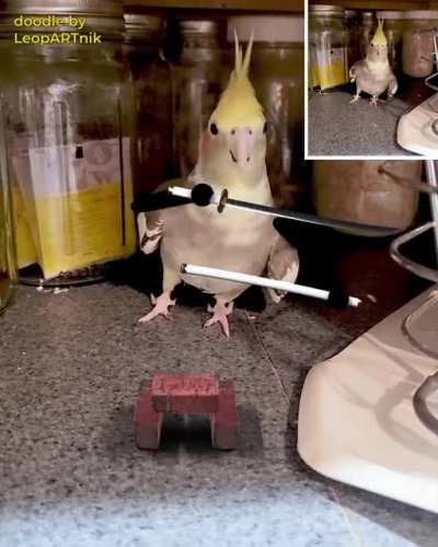 The Guardian of the Pantry