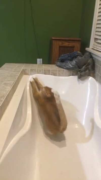 Bathtub greebles