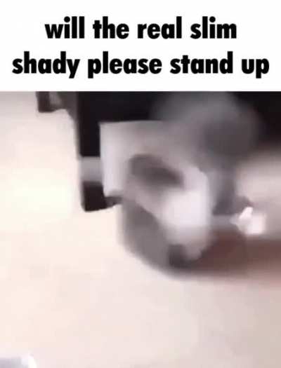 stand
