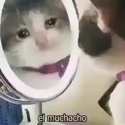 El muchacho :(