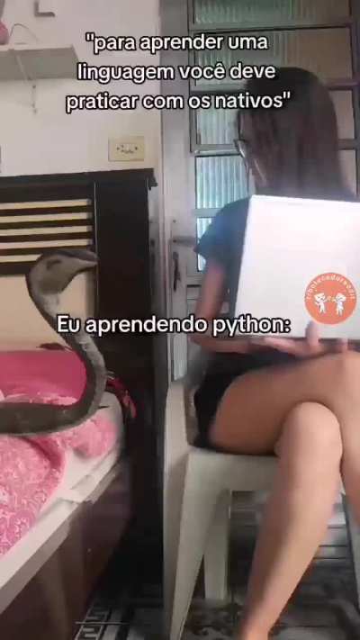 🐍