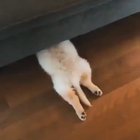 Hide and seek
