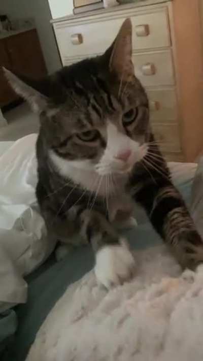 Mama, you’re sick? Let me make you some fresh biscuits :)