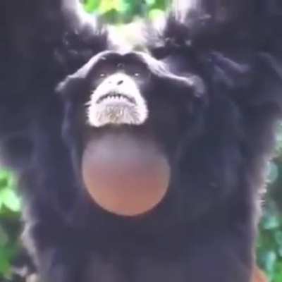 MNnnnnNggh.... CKAAAAHHHH!