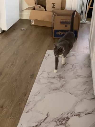 Robbie, who is deaf, produces some of the strangest yells ever