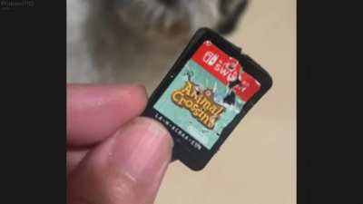 dog ate the animal crossing cartridge 😔