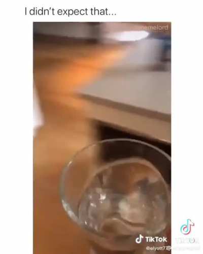 Snack time
