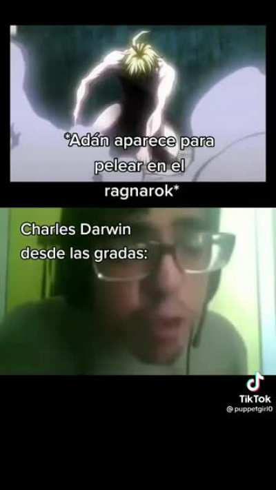 XDDDd