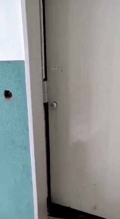 Winner of not my Job, the electrician